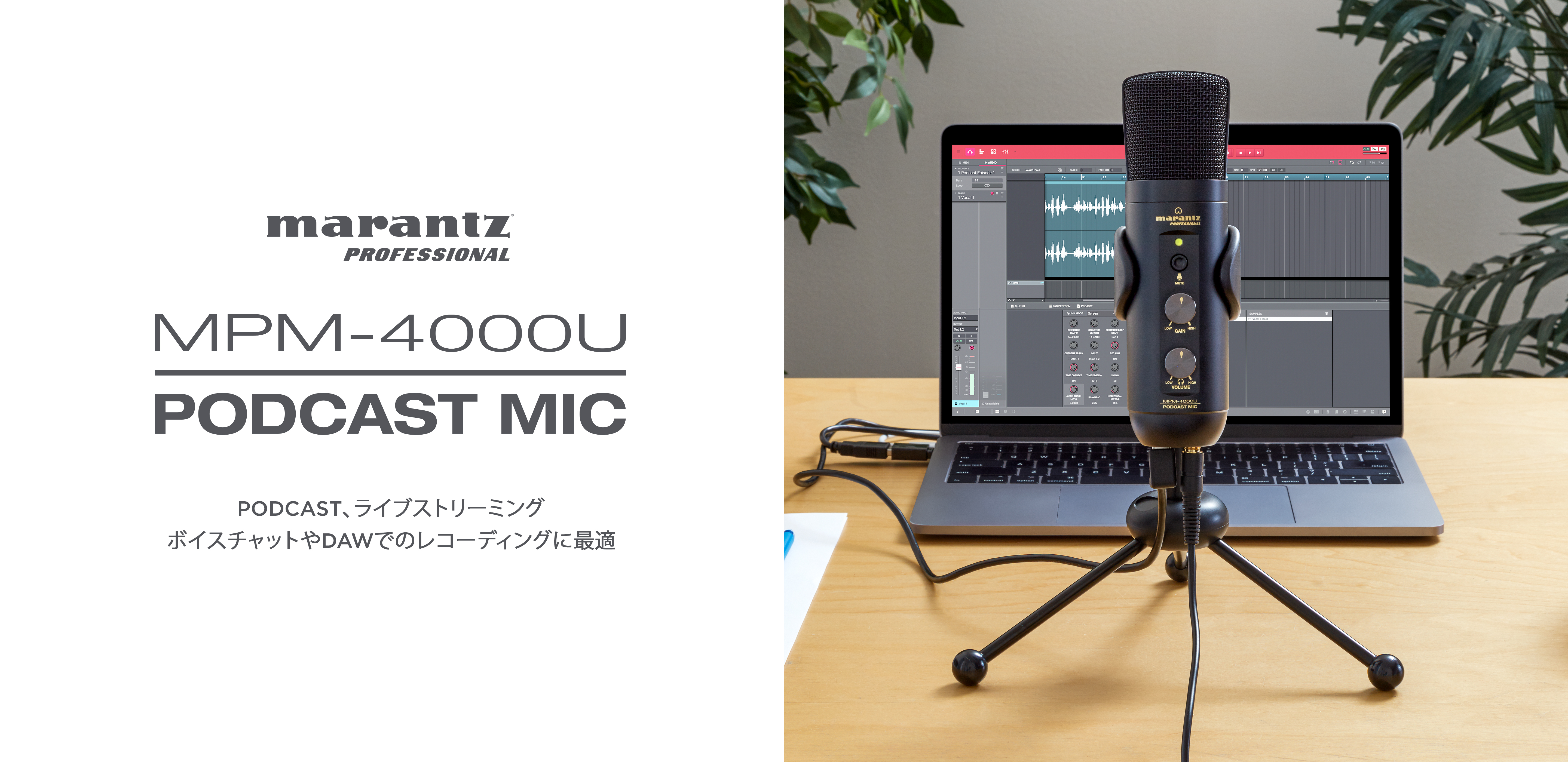 マランツプロフェッショナル+REQST DA04F R-VM18付き